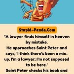 Dark humor jokes | Lawyers and Honesty | Stupid-Panda.Com