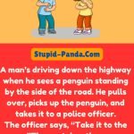 Dad Jokes | The Penguin Encounter | Stupid-Panda.Com