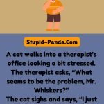 The Cat Therapist