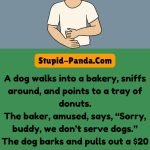 The Dog at the Bakery