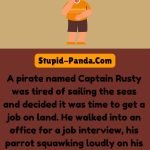 The Pirate and the Job Interview