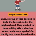 The Sledding Disaster