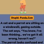 The Cat and the Parrot