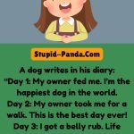 The Dog’s Diary vs. The Cat’s Diary