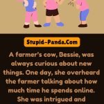 The Cow and the Internet