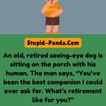 The Dog’s Retirement