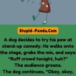 The Dog’s Stand-Up Comedy