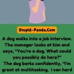 The Job Interview