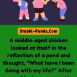 The Chicken’s Midlife Crisis