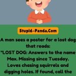 The Lost Dog Poster