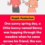 The Bunny and the Sun