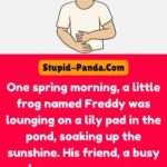 The Lazy Spring Frog