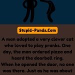 The Cat and the Doorbell