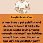 The Goldfish Whisperer