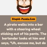 The Misunderstood Pirate