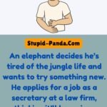 The Elephant’s New Job