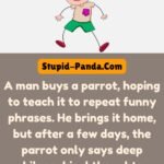 The Philosophical Parrot