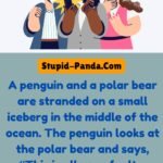 The Penguin and the Polar Bear