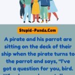 The Parrot and the Pirate