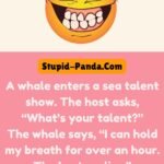 The Whale's Talent Show